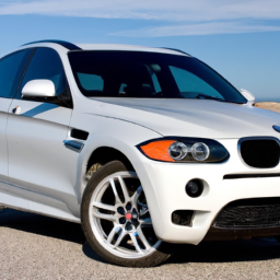 Car model: 2010 BMW X6 M