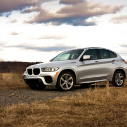 Car model: 2011 BMW X6 M