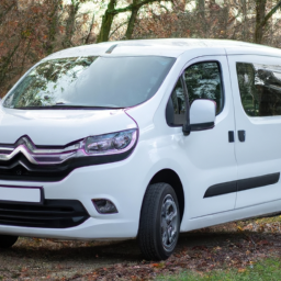 Car model: 2019 Citroën Berlingo