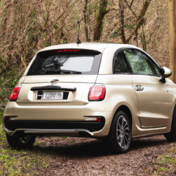 Car model: 2021 Fiat 500
