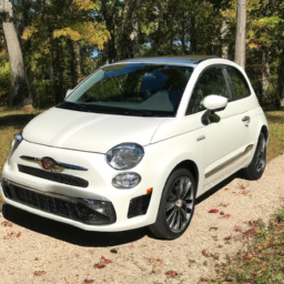 Car model: 2018 Fiat 500L