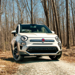 Car model: 2019 Fiat 500X