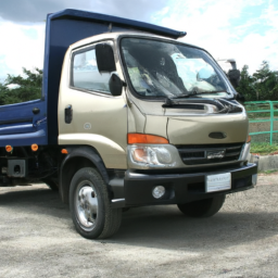 Car model: 2010 Hyundai H-100 Truck