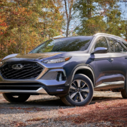 Car model: 2019 Hyundai Santa Fe