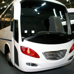 Car model: 2009 Hyundai Super Aero City