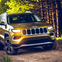 Car model: 2021 Jeep Cherokee