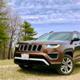Car model: 2019 Jeep Compass