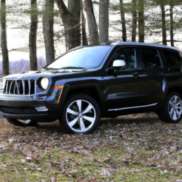 Car model: 2017 Jeep Patriot