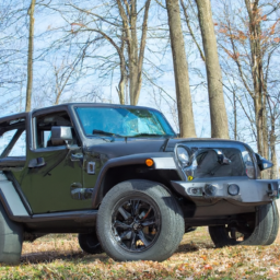 Car model: 2016 Jeep Wrangler