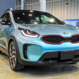 Car model: 2019 KIA Niro EV
