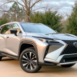 Car model: 2020 Lexus NX