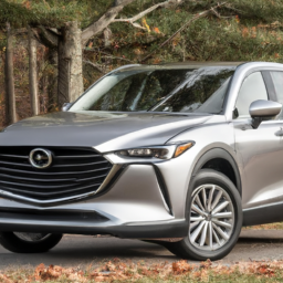 Car model: 2018 Mazda CX-9