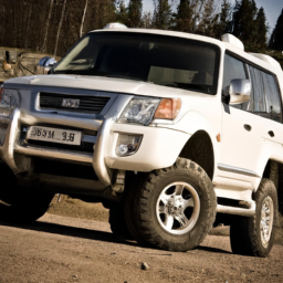 Car model: 2009 Mitsubishi Pajero