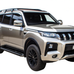 Car model: 2018 Mitsubishi Pajero Full