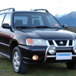 Car model: 2001 Nissan X-Trail