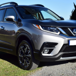 Car model: 2017 Nissan X-Trail