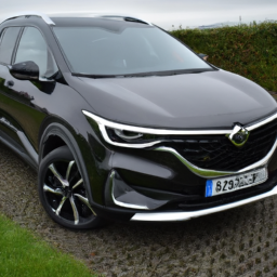 Car model: 2021 Opel/Vauxhall Grandland X
