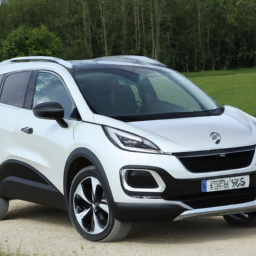 Car model: 2013 Peugeot 2008