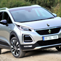 Car model: 2014 Peugeot 2008