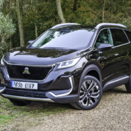Car model: 2017 Peugeot 4008
