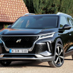 Car model: 2019 Peugeot 5008