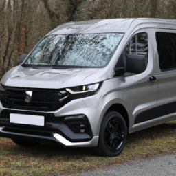 Car model: 2021 Peugeot Expert