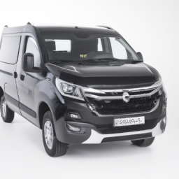 Car model: 2017 Peugeot Partner Tepee