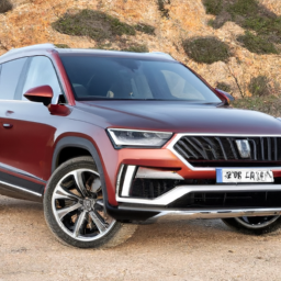 Car model: 2019 Seat Tarraco