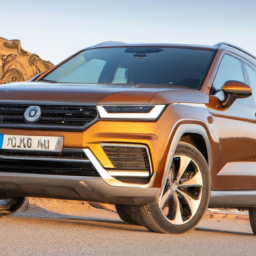 Car model: 2020 Seat Tarraco