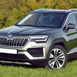 Car model: 2018 Škoda Karoq