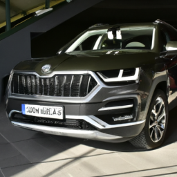 Car model: 2019 Škoda Karoq