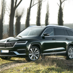 Car model: 2017 Škoda Kodiaq