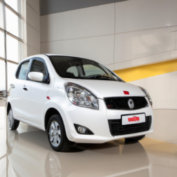 Car model: 2015 Suzuki Alto