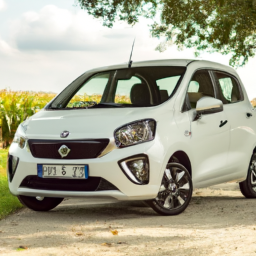 Car model: 2018 Suzuki Alto