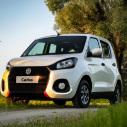 Car model: 2020 Suzuki Alto
