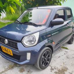 Car model: 2021 Suzuki Alto