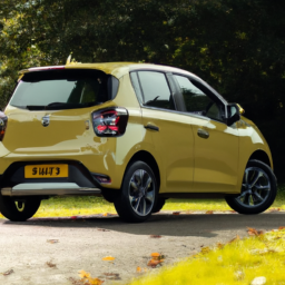 Car model: 2018 Suzuki Celerio