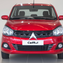 Car model: 2019 Suzuki Celerio