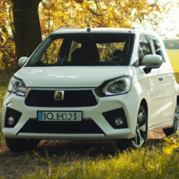 Car model: 2021 Suzuki Celerio