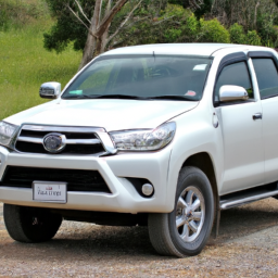 Car model: 2010 Toyota Hilux
