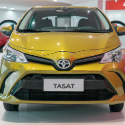 Car model: 2019 Toyota Passo