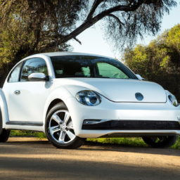 Car model: 2016 Volkswagen Beetle