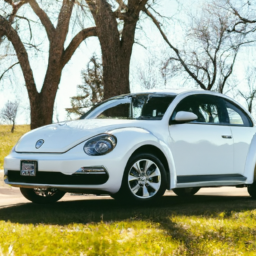 Car model: 2017 Volkswagen Beetle