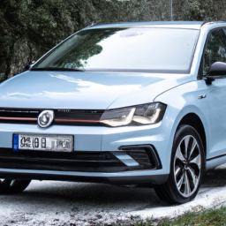 Car model: 2021 Volkswagen Polo