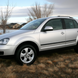Car model: 2008 Volkswagen Tiguan